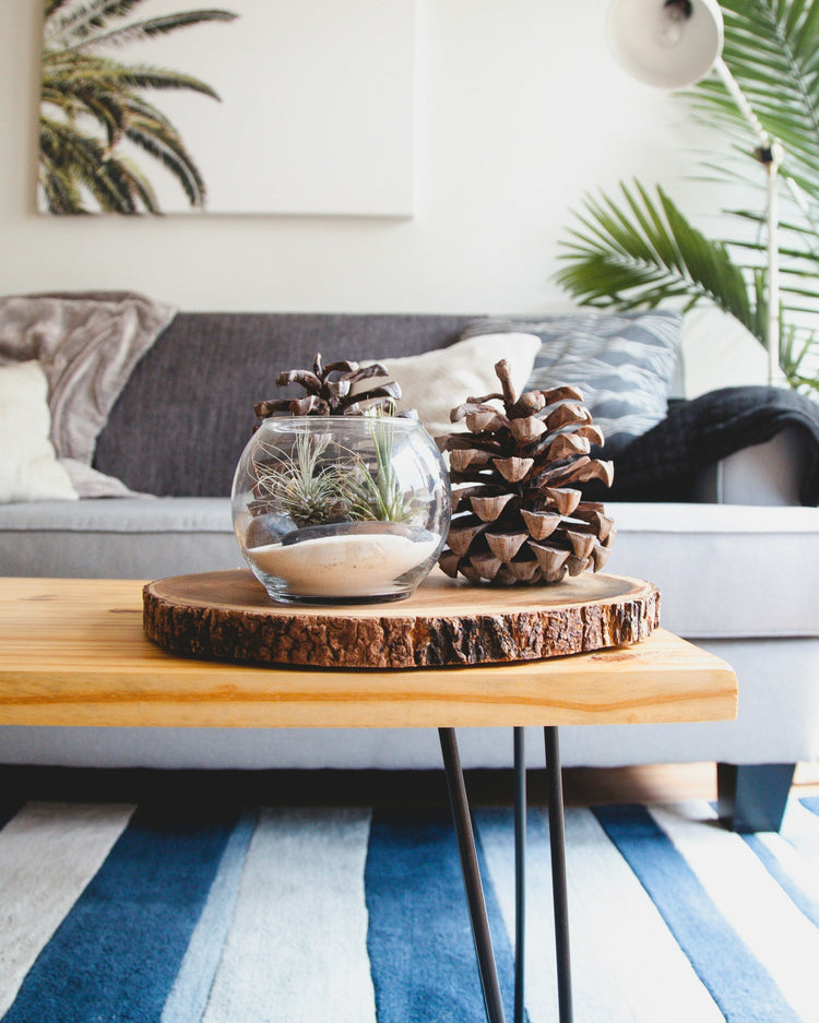 Hogar Y Decoracion